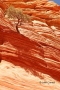 The-Wave;Grand-Staircase-Escalante-National-Monument;Paria-Canyon;North-Coyote-B