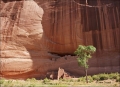Canyon-de-Chelly;Arizona;White-House-Ruin;Ancient-Puebloan;Anasazi;Ruin;Red-Rock