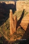 Canyon-de-Chelly;Cottonwoods;Slick-Rocks;Canyon;Arizona;Spider-Rock;Red-Rocks;Su