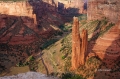 Canyon-de-Chelly;Cottonwoods;Slick-Rocks;Canyon;Arizona;Spider-Rock;Red-Rocks;Su