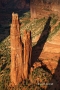 Canyon-de-Chelly;Cottonwoods;Slick-Rocks;Canyon;Arizona;Spider-Rock;Red-Rocks;Su