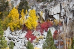 Bishop-Creek-Canyon;California;Eastern-Sierra;Fall-Foliage