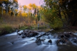 California;Eastern-Sierra;Fall-Foliage;Lundy-Canyon;Mill-Creek;Reflection;Water-