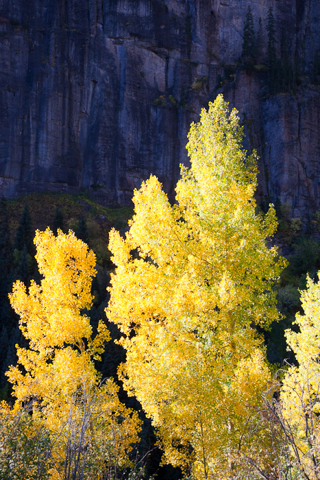 Aspen;Colorado;Fall-Foliage;Foliage;Mountains;Scenic;Yankee-Boy-basin