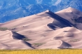 Flower;Great-Sand-Dunes-National-Park-and-Preserve;Rocky-Mountains;Sand;Sand-Dun