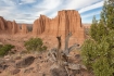 Blue-Sky;Capitol-Reef-National-Park;Erosion;Red-Rock;Sandstone;Upper-Cathedral-V