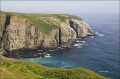 Cape-Saint-Marys;Newfoundland;Scenic;Cape-Saint-Marys;Breeding-Behavior;Breeding