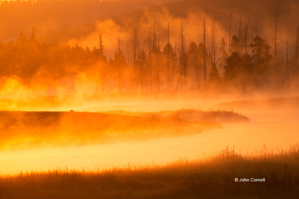 Fog;Madison River;Mist;Sunrise;Yellowstone National Park;water