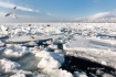 Japan;Pack-Ice;Scenic;Sea-of-Okhotsk;Hokkaido;Sea-Eagle;Gull;Water;Ice