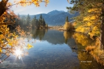 Aspens;California;Eastern-Sierra;Foliage;Silver-Lake