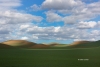 Blue-Sky;Clouds;Grass;Palouse;Scenic;Washington;rolling-hills