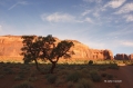 Monument-Valley;Navajo-Indian-Reservation;Rain-God-Mesa;Tree;Blue-Sky;Clouds;San