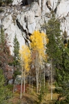 Bishop-Creek-Canyon;California;Eastern-Sierra;Fall-Foliage