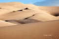Colorado;Great-Sand-Dunes-National-Park-and-Preserve;Sand;Sand-Dunes;Scenic