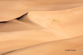 Colorado;Great-Sand-Dunes-National-Park-and-Preserve;Sand;Sand-Dunes;Scenic