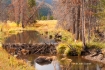 Beaver-Dam;Beaver-Pond;Colorado;Fall-Foliage;Foliage;Mountains;River;Scenic