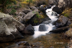 Brook;Glacier-Creek;Rocks;Rocky-Mountain-National-Park;Scenic;Warter;Water-Flow;