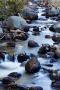 Creek;Water;Water-Flow;Rocks;Scenic;Glacier-Creek;Rocky-Mountain-National-Park;C