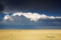 Pawnee-National-Grasslands;Grasslands;Scenic;Clouds;Blue-Sky;Colorado;Plains;Blu