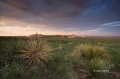 Pawnee-Buttes;Pawnee-National-Grasslands;Grasslands;Scenic;Sunset;Clouds;Colorad