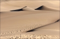 Sand-Dunes;Sand;Scenic;Great-Sand-Dunes-National-Park-and-Preserve;Colorado