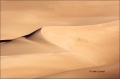 Sand;Sand-Dunes;Scenic;Great-Sand-Dunes-National-Park-and-Preserve;Colorado