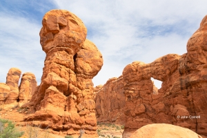 Arches-National-Park;Blue-Sky;Erosion;Garden-of-Eden;Red-Rocks;Sandstone;Utah