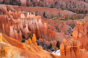 Bryce-Canyon-National-Park;Desert;Erosion;Hoodoos;Landscape;Red-Rocks;Sandstone;