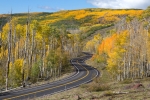 Boulder-Mountain;Dixie-National-Forest;Fall-Foliage;UT-Hwy-12;Utah